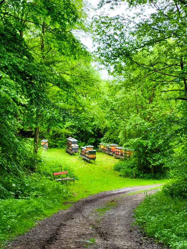 Rondwandeling Silz, Tirol